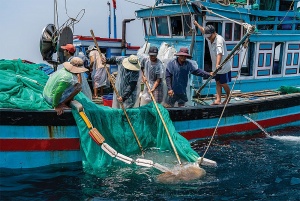 EVFTA advantages threatened by tough competition