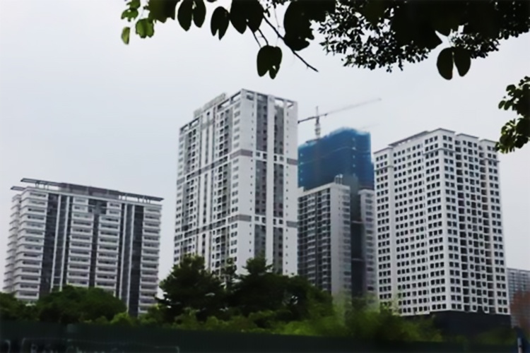 Real estate transactions should be performed on trading floors: MoC