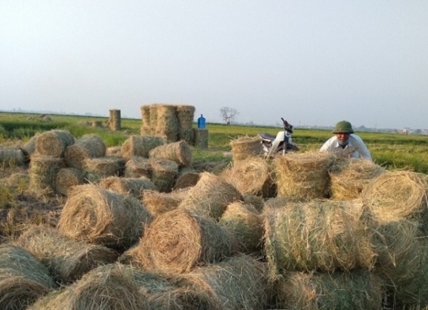 Agricultural sector urged to scale up by-product use - Vimarsana News