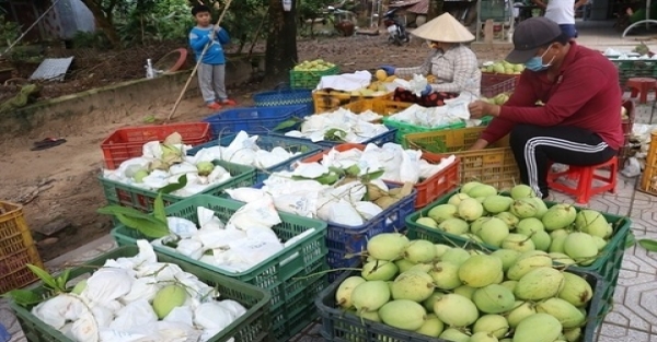Planting area codes key for Vietnam"s farm produce exports - Vimarsana News