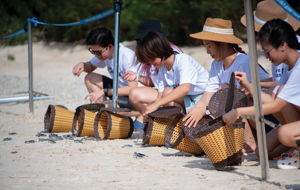 Save the turtles: Shaping experience for modern travellers in Con Dao