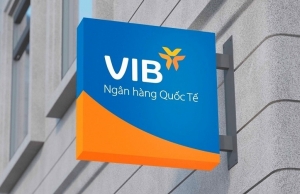 VIB pre-tax profit up 46 per cent in first nine months
