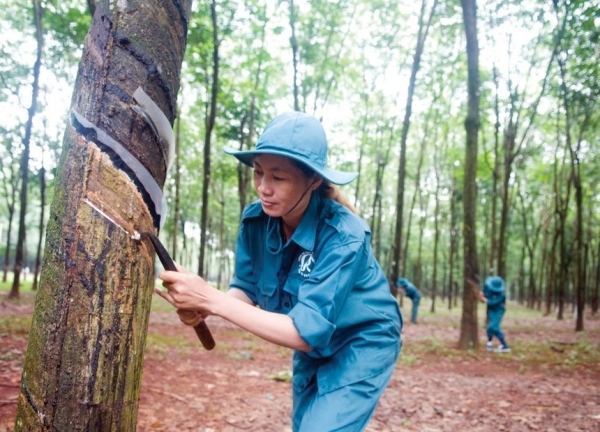 Rubber firms face hard time ahead - Vimarsana News
