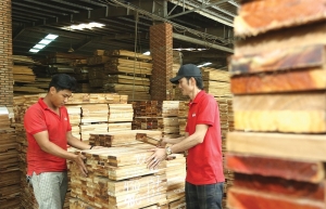 High inflation dragging down Vietnamese wood exports