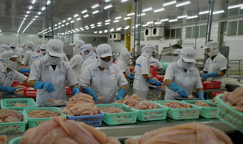 Seafood sector expects rosier Q4 performance