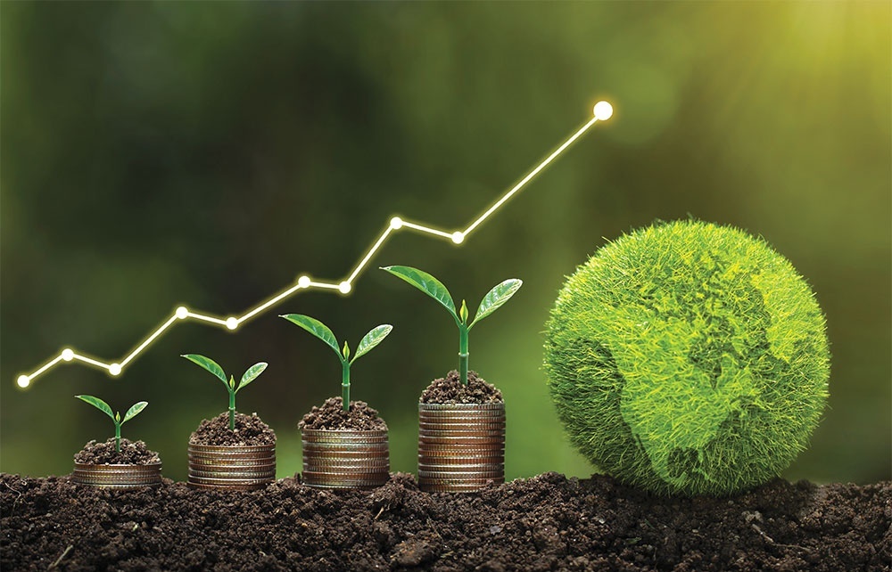 The significant growth of green bonds