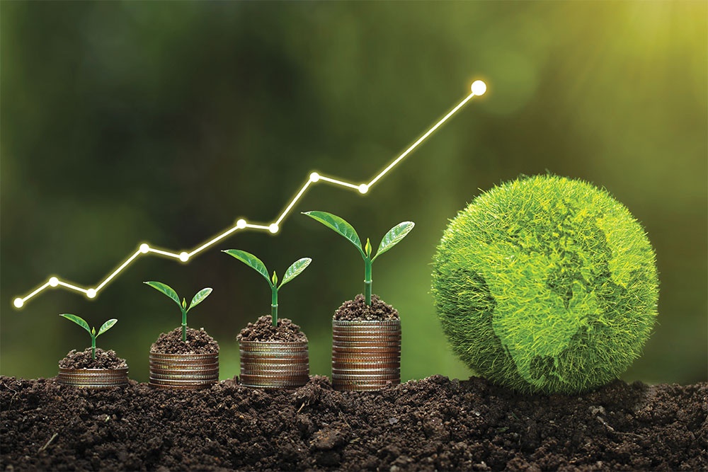 the significant growth of sovereign green bonds
