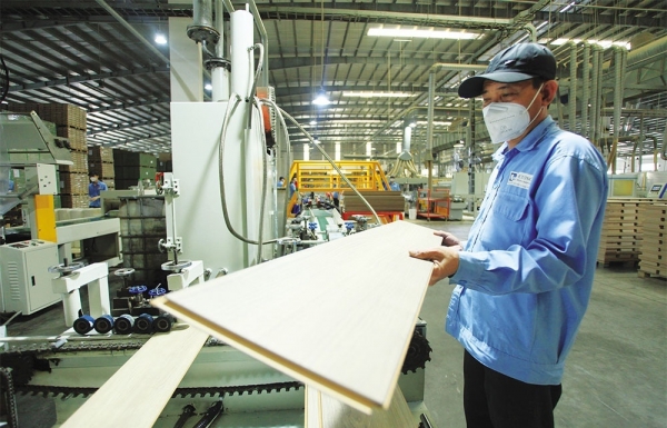 Crucial certification needed to expand wood market - Vimarsana News