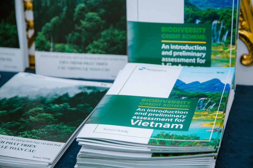 Dragon Capital Vietnam helps research Ca Mau Mangroves and Pu Mat National Park