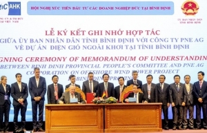 PNE AG and Binh Dinh cooperate to develop $4.6 billion wind farm