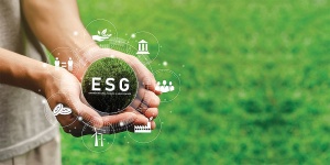 VIR standing by businesses in sustainable development