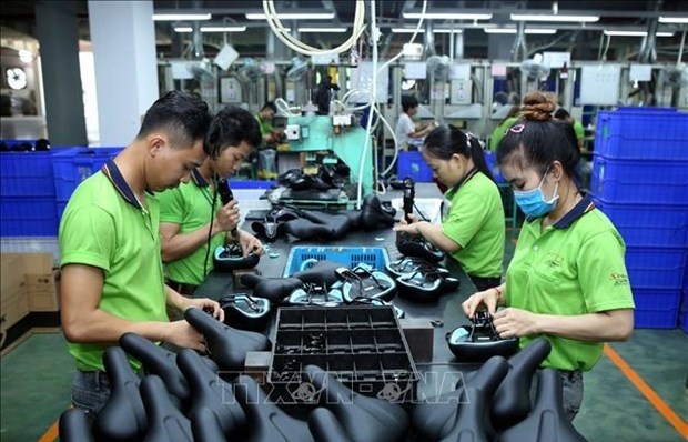 Int’l experts, organisations believe in Vietnam's sustainable growth potential