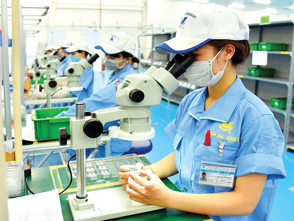EVFTA gains begin to blossom for Vietnam