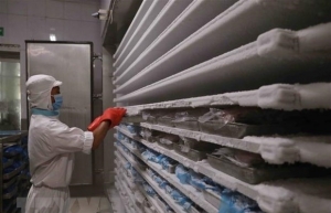Investors eager to boost cold storage
