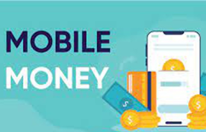 Mobile Money usage falls short