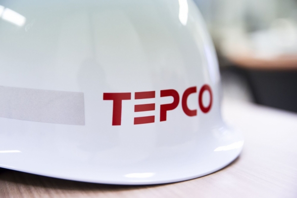 Japan"s Tepco acquires near 25 per cent interest in Vietnam Power Development JSC - Vimarsana News