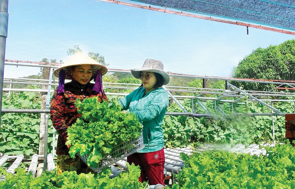Ba Ria-Vung Tau’s adjustment towards high-tech agriculture