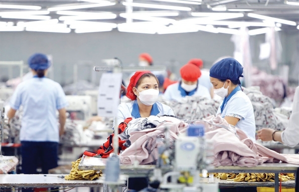 Worker protection required after spate of lay-offs persists - Vimarsana News