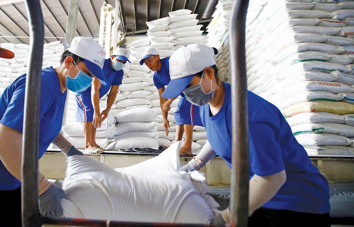 Vietnamese EU exports benefit from trade deal