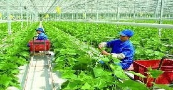 Localities striving to build smart new-style rural areas - Vimarsana News