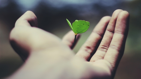 Funding for climate tech startups in Southeast Asia hits record high in 2022 - Vimarsana News