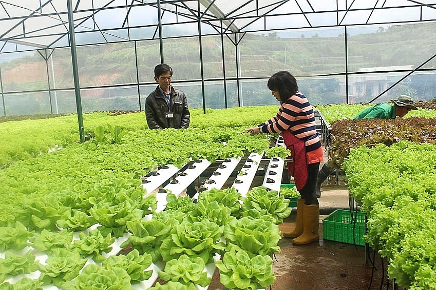 Vietnam's green startups show growth