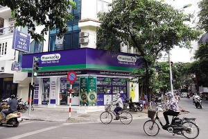 Drugstore chains continue growth momentum