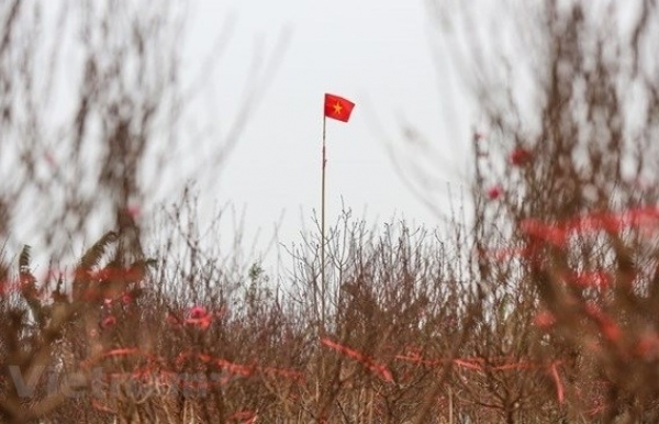 Cold weather to blanket northern Vietnam in Lunar New Year holidays - Vimarsana News