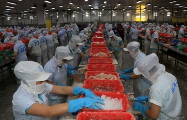 Weakening demand continues to dog Vietnamese firms - Vimarsana News