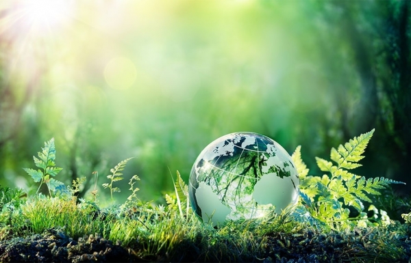 Vietnamese export profits boost with green trade - Vimarsana News