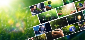 Agri-exports hitting the shelves