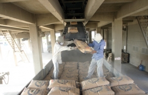 Cement exports under duress from neighbours