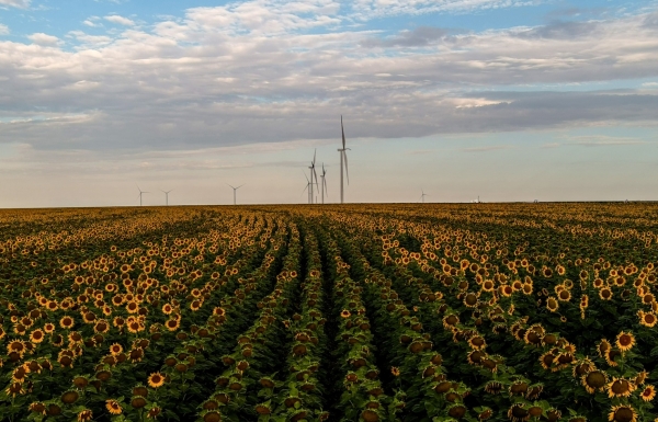 Amazon scales renewable energy to fight climate change - Vimarsana News
