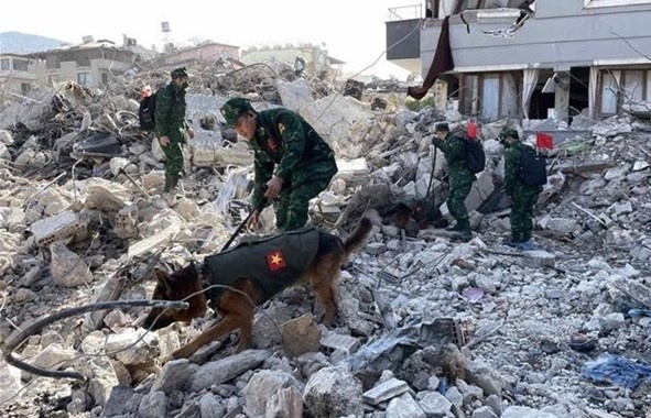 More earthquake victims found by Vietnamese rescue teams in Turkey