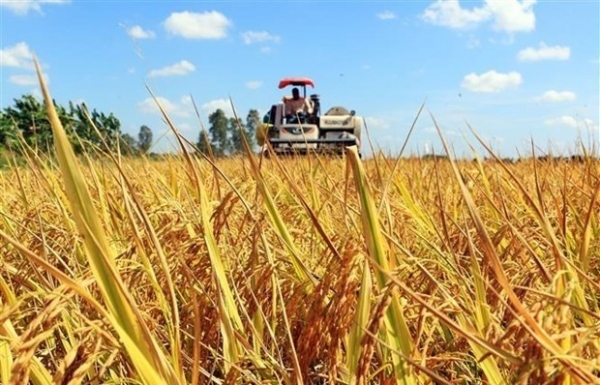 Japanese firms eyeing investment opportunities in Vinh Long - Vimarsana News