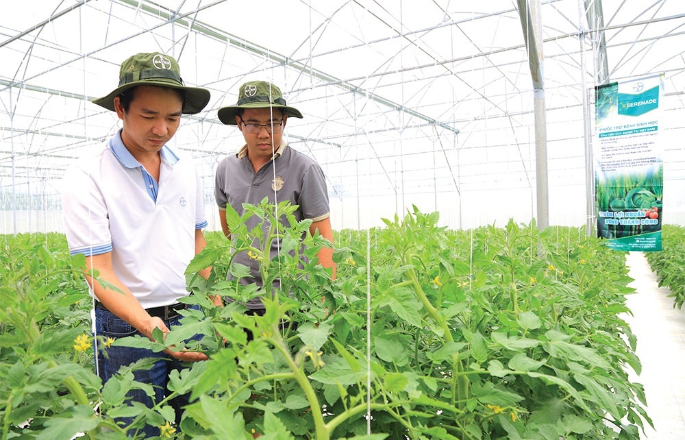 Agriculture can be driver to attract overseas funds