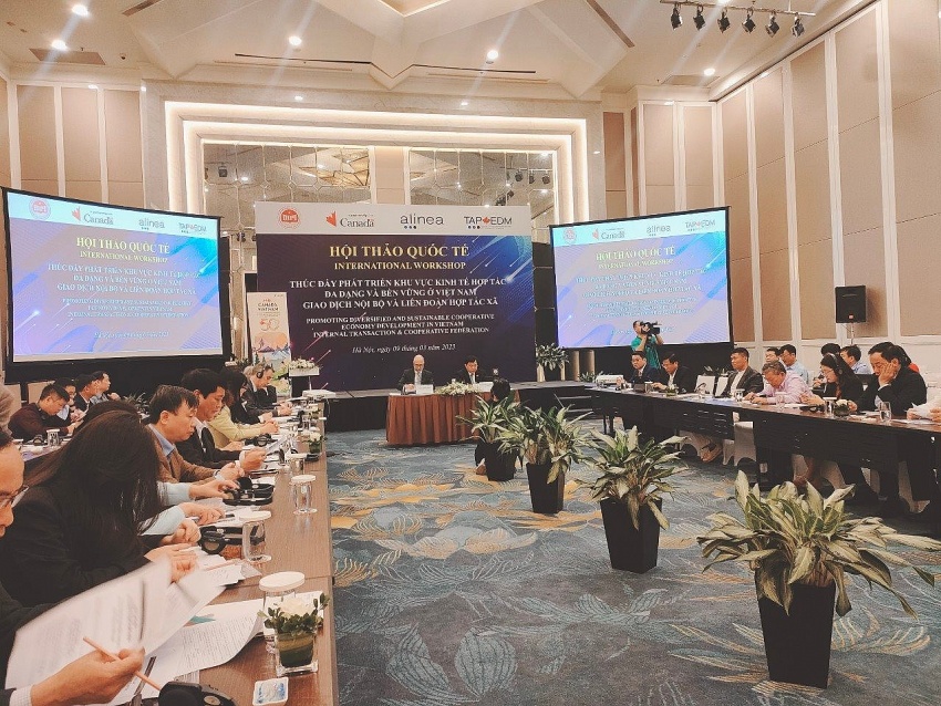 Promote diversified and sustainable cooperative economic development in Vietnam by internal transaction