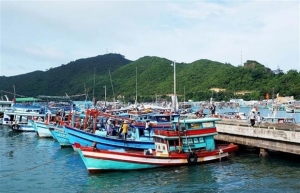 Phu Quoc ramps up efforts against IUU fishing