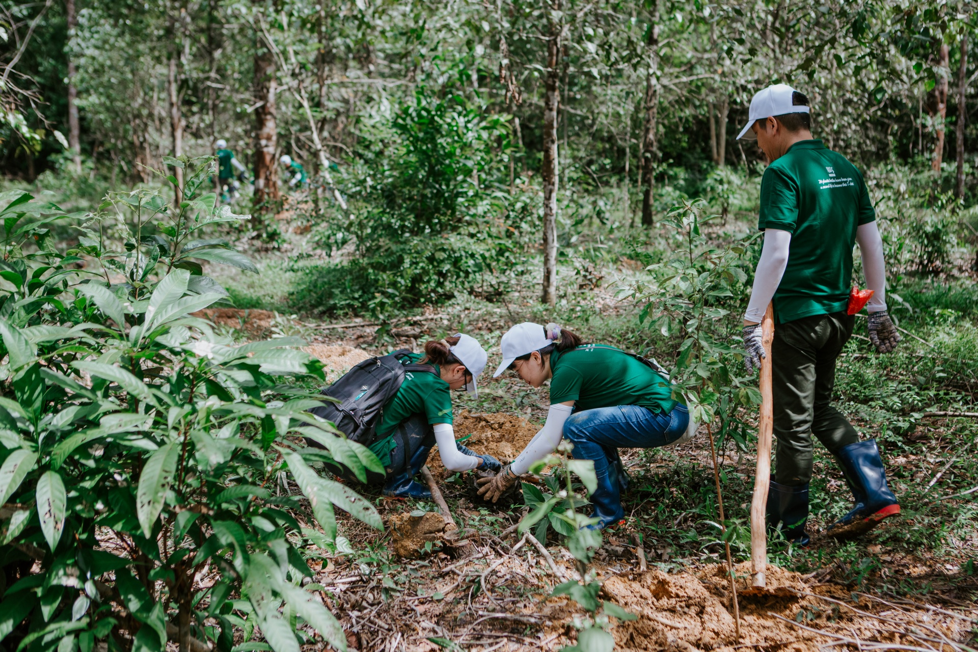 Nestlé recognised for efforts to protect forests