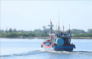Quang Tri fights illegal fishing for sustainable fisheries development