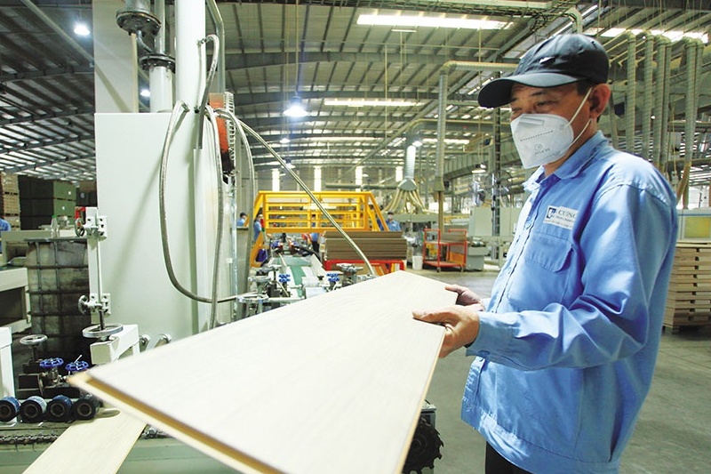US widens plywood trade remedy inquiry