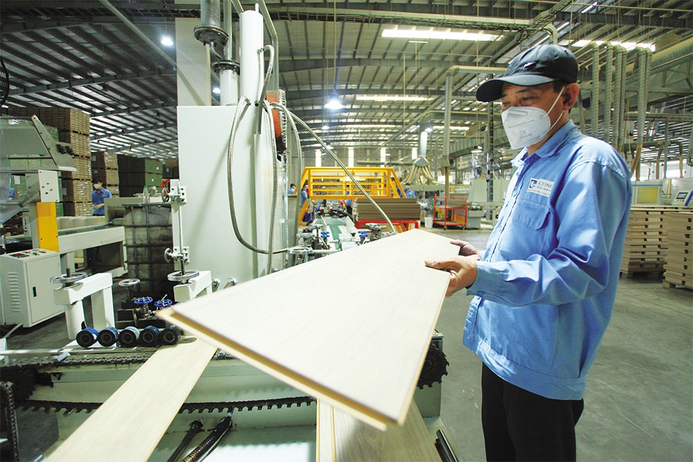 US widens plywood trade remedy inquiry