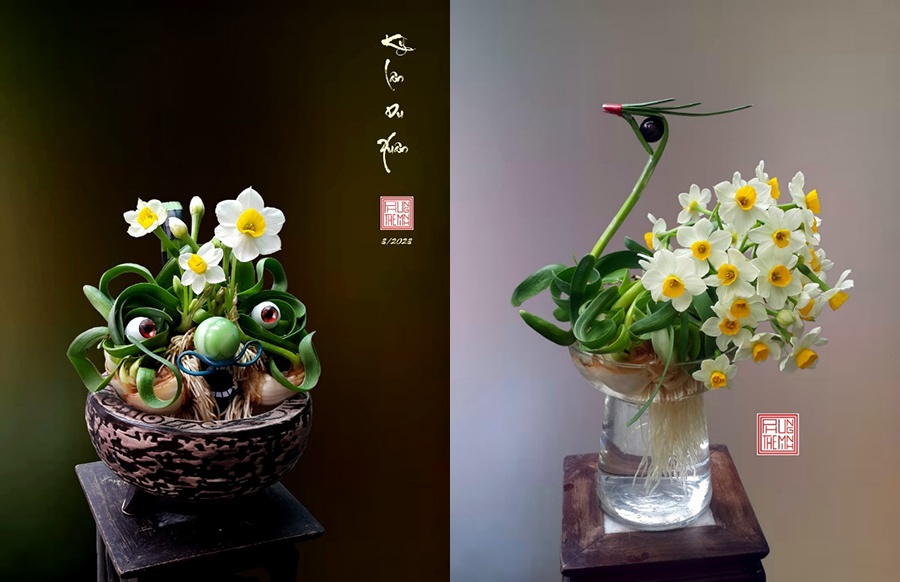 Tending daffodils is an elegant aspect of Hanoian culture