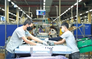 New tax gives Vietnam incentive to adjust