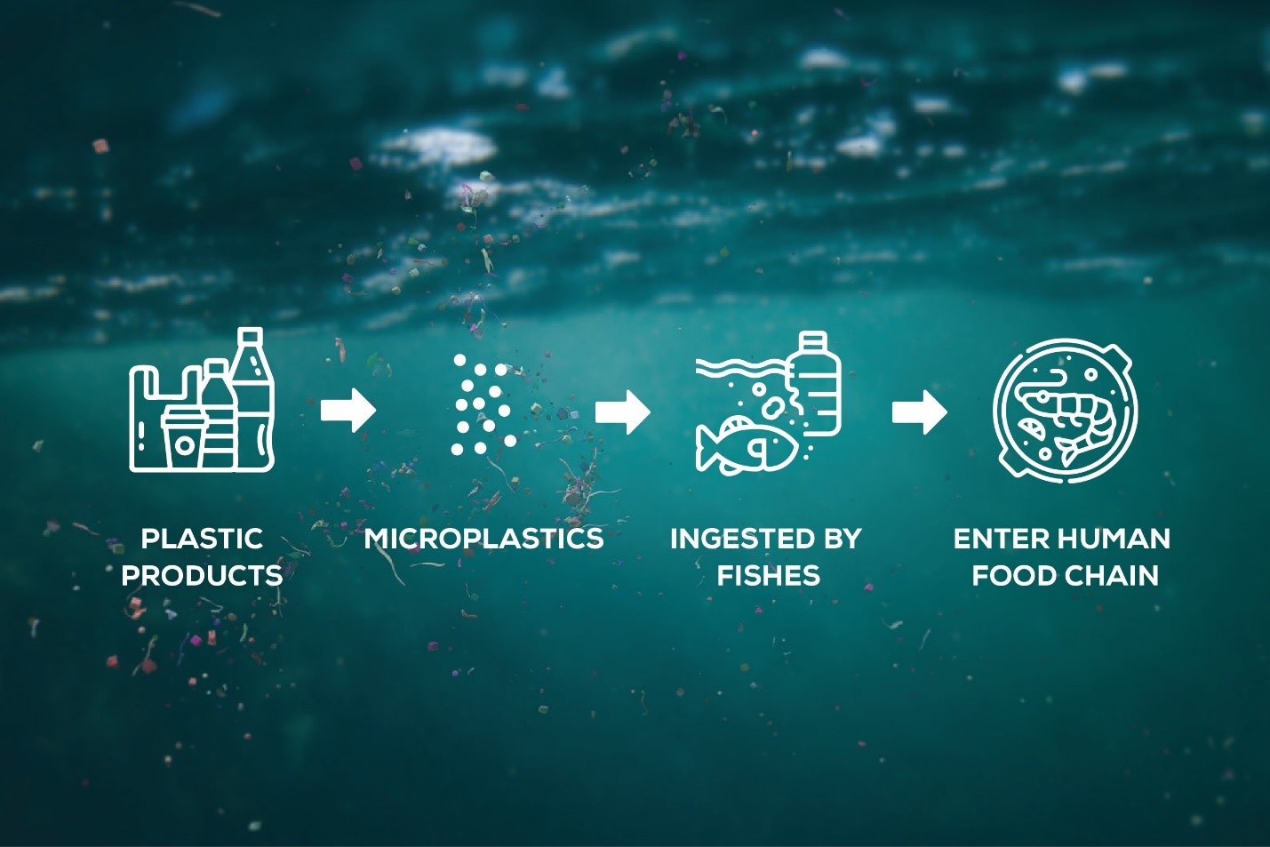 Understanding biodegradable plastics