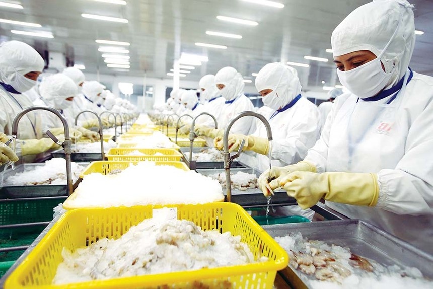 Hard times for seafood exports