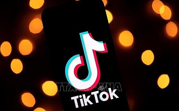 Ministry plans inspection of TikTok in May