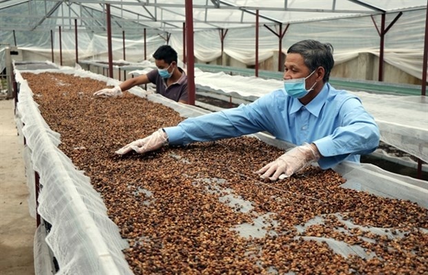 Stocks of coffee producers less appealing on market