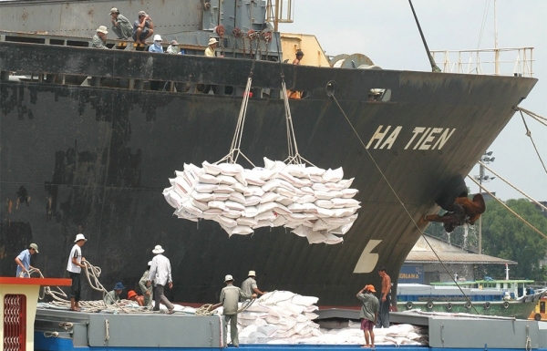Vietnamese rice performance bodes well for export growth - Vimarsana News