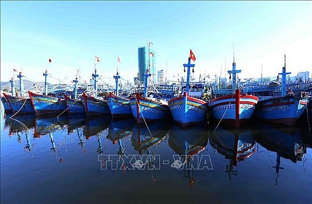 Binh Dinh province issues plan to fight IUU fishing  | Society | Vietnam+ (VietnamPlus)